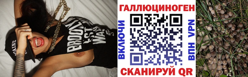 KRAKEN ССЫЛКА  Оха  Псилоцибиновые грибы MAGIC MUSHROOMS 